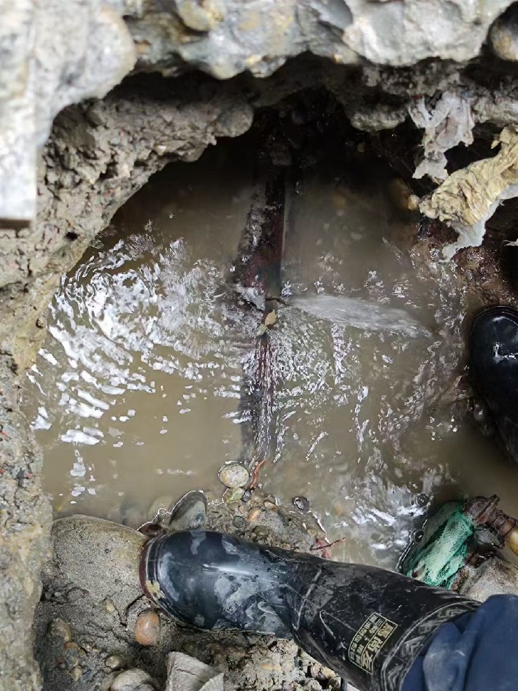 鲅鱼圈区本地服务：小区水管漏水检测维修
